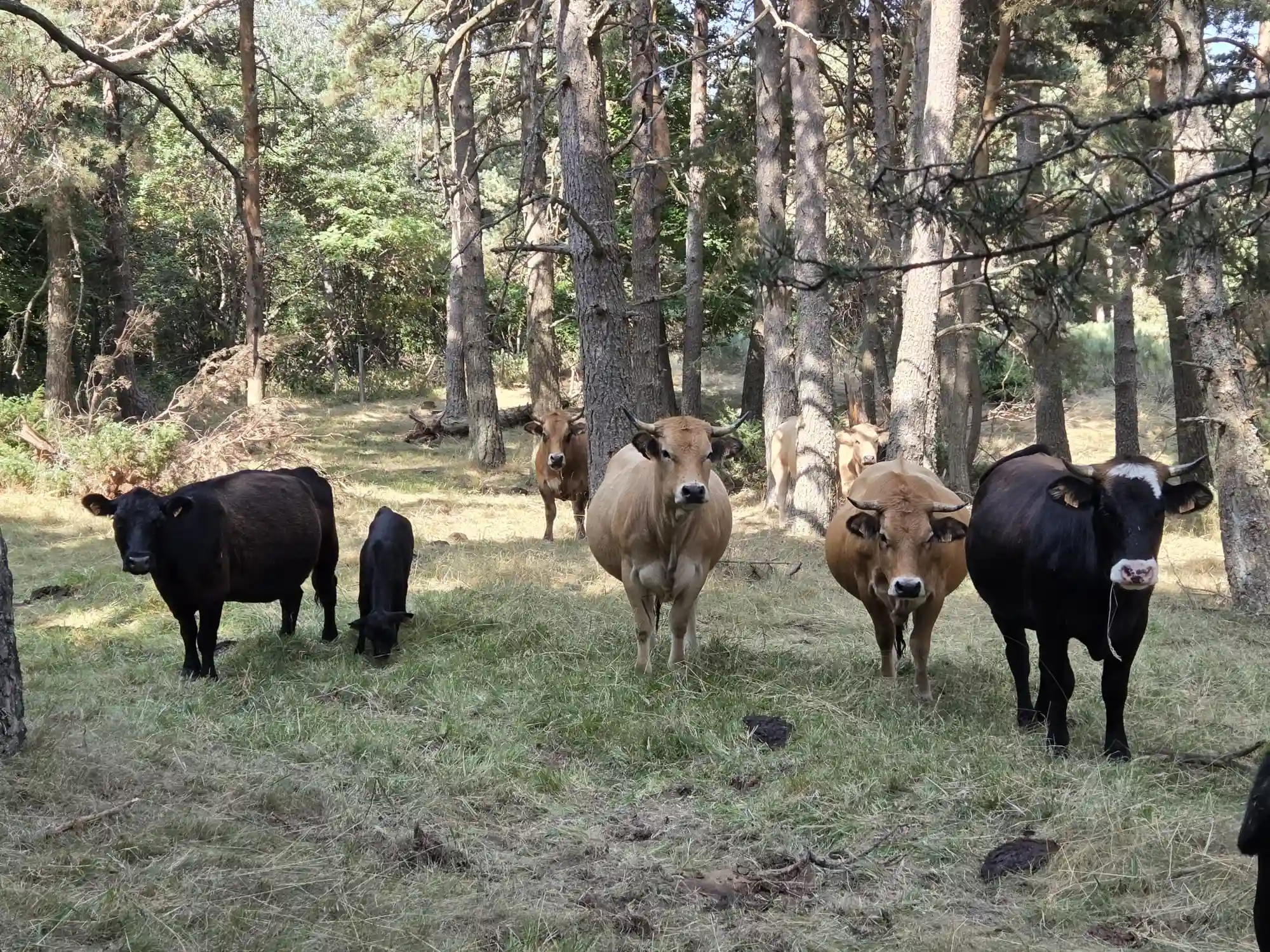 PHOTO-2025-10-14-14-45-56(6) (1)