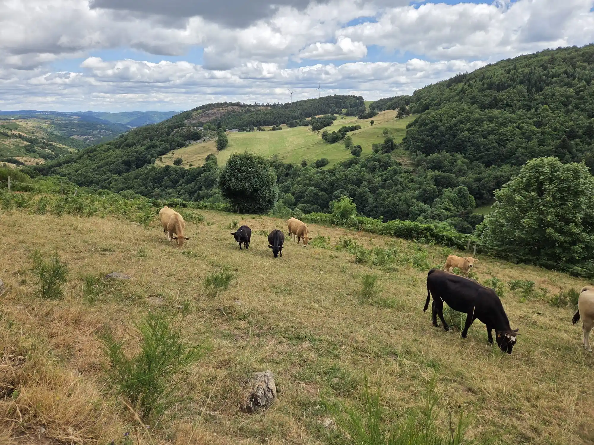 PHOTO-2025-10-14-14-45-58(1)