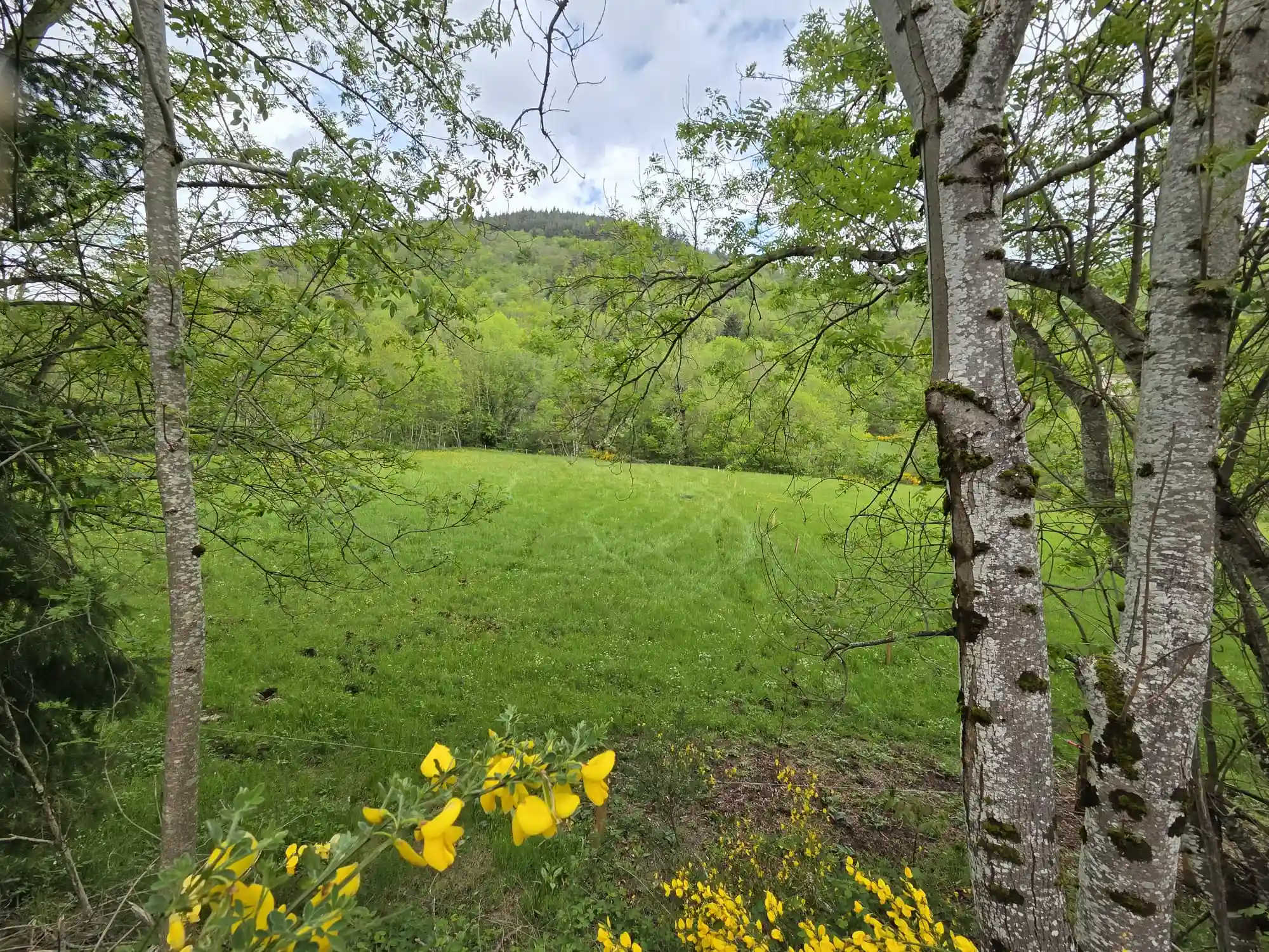 PHOTO-2025-10-14-14-45-59(8)