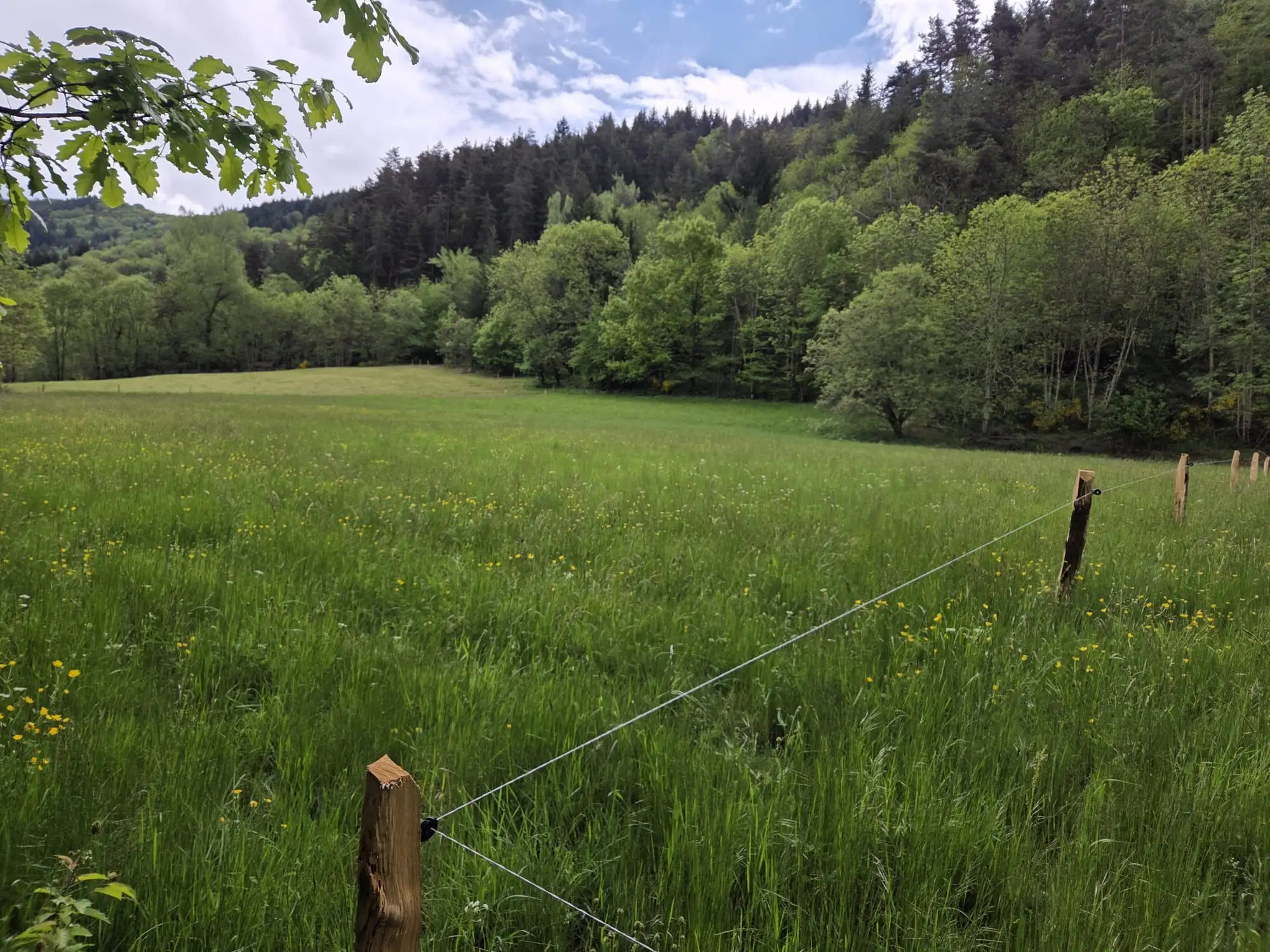 PHOTO-2025-10-14-14-46-00(2)