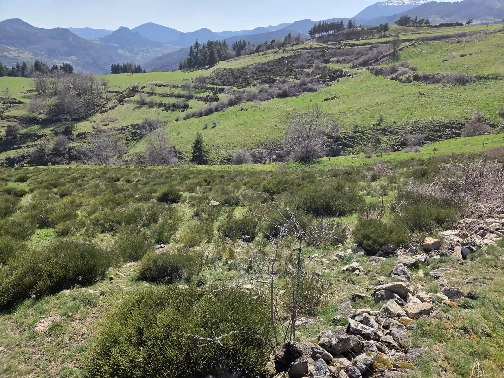 PHOTO-2025-10-14-14-57-06(1)