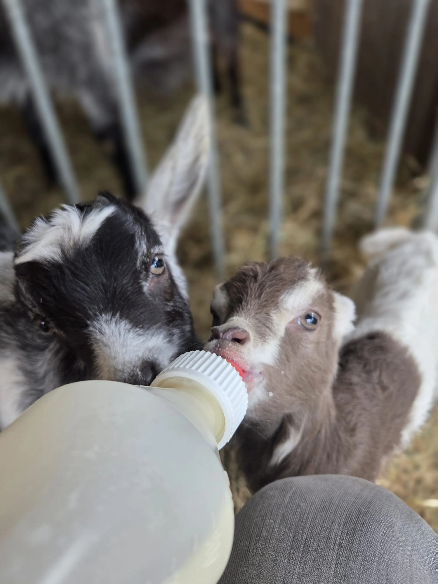 PHOTO-2025-10-14-14-57-06(2) (1)