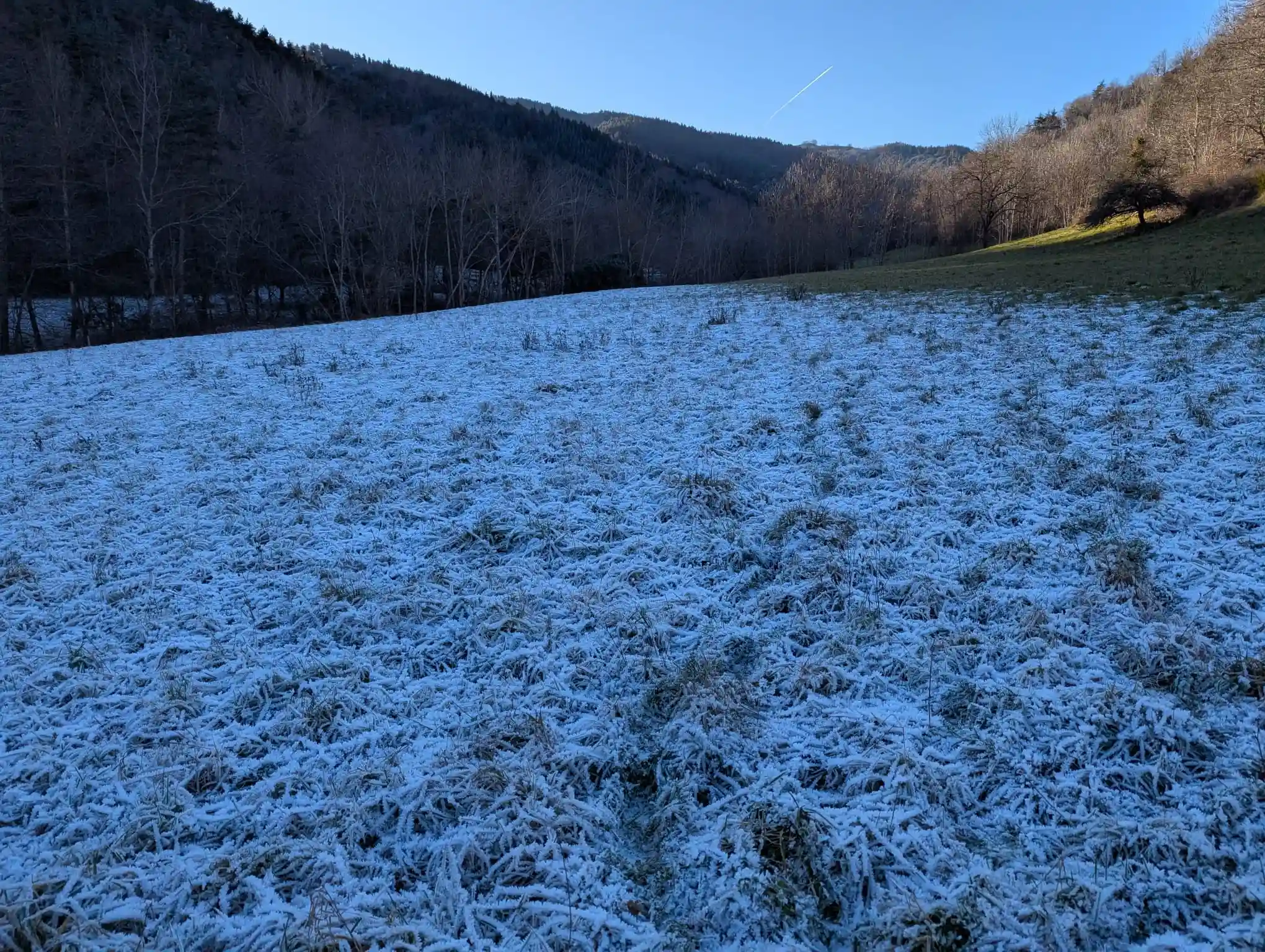 PHOTO-2025-10-14-14-57-07(2) (1)