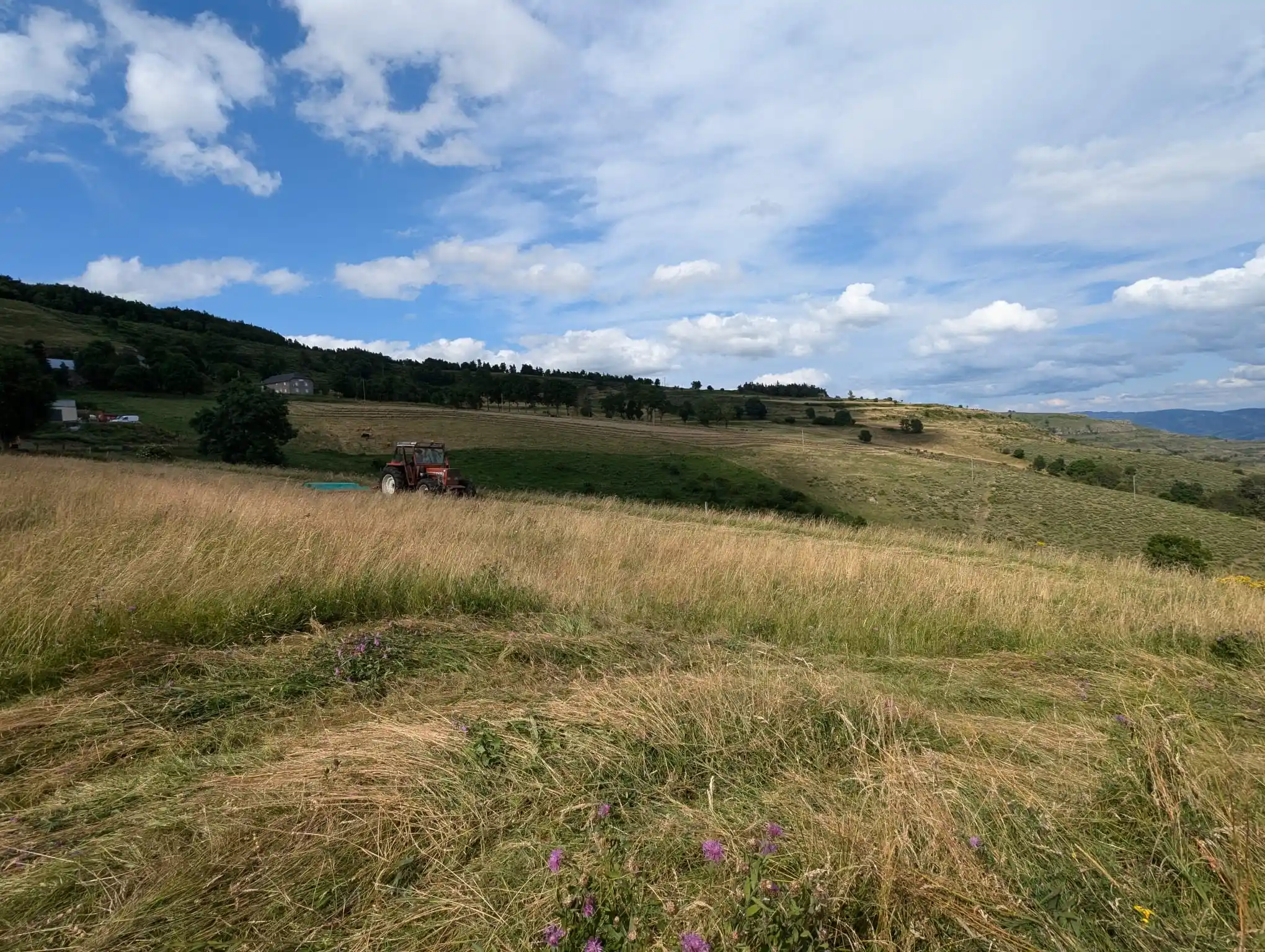 PHOTO-2025-10-14-14-57-09(3) (1)