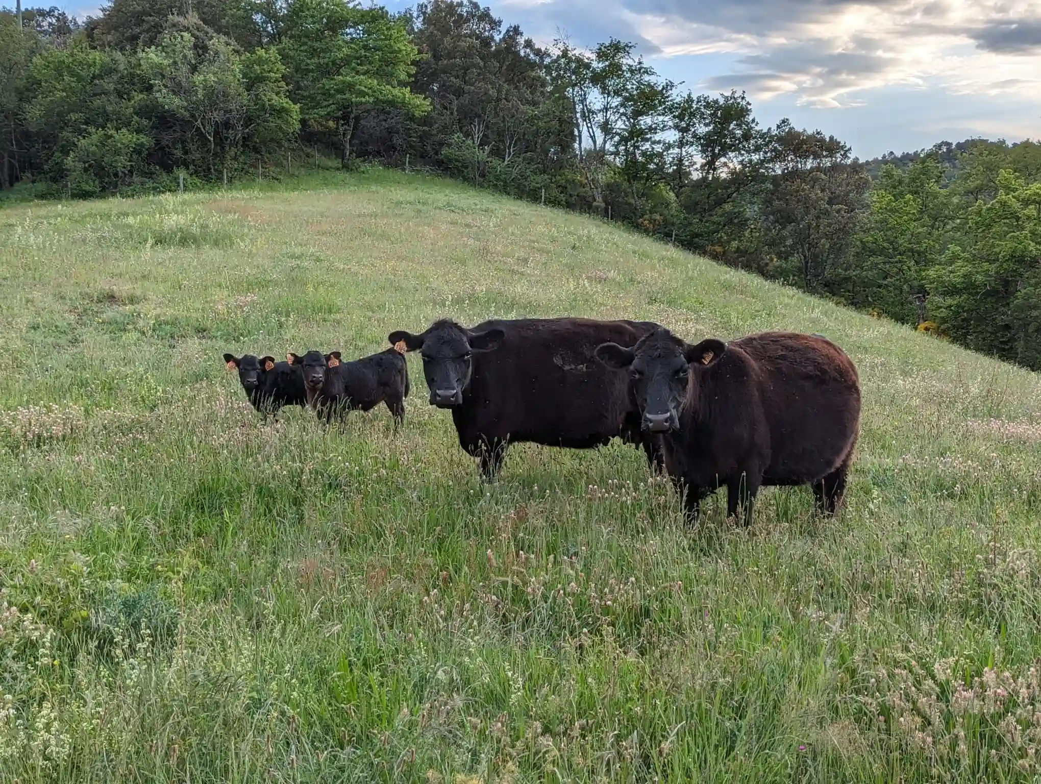 PHOTO-2025-10-14-14-57-09(6)