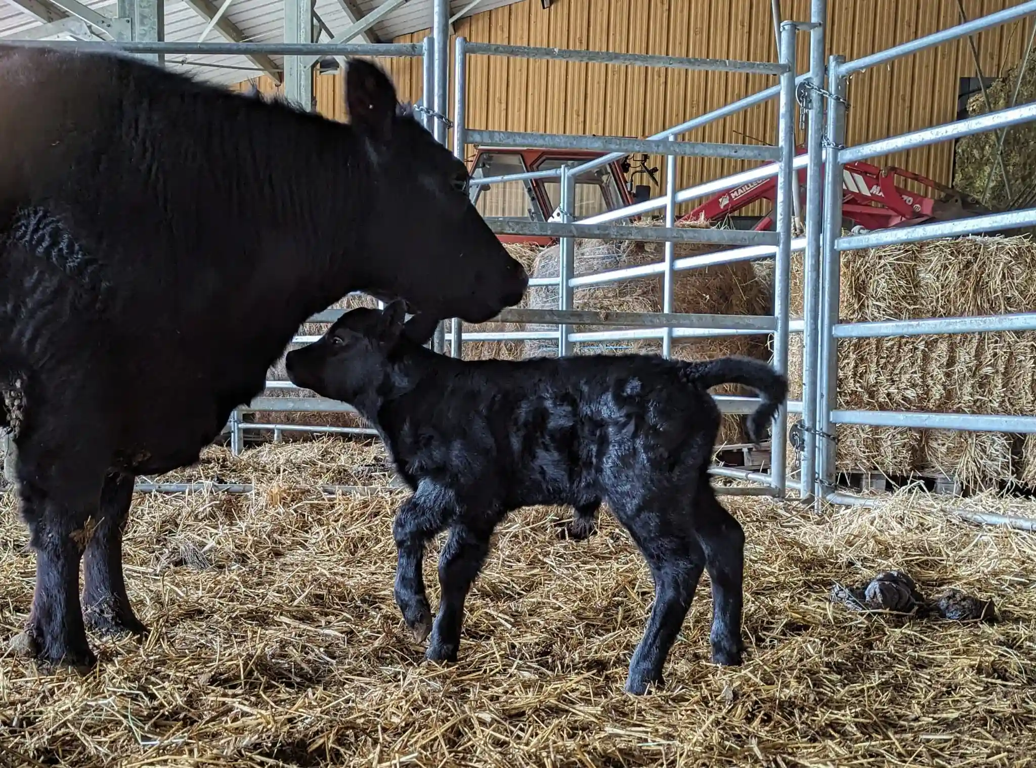 PHOTO-2025-10-14-14-57-10(1) (1)